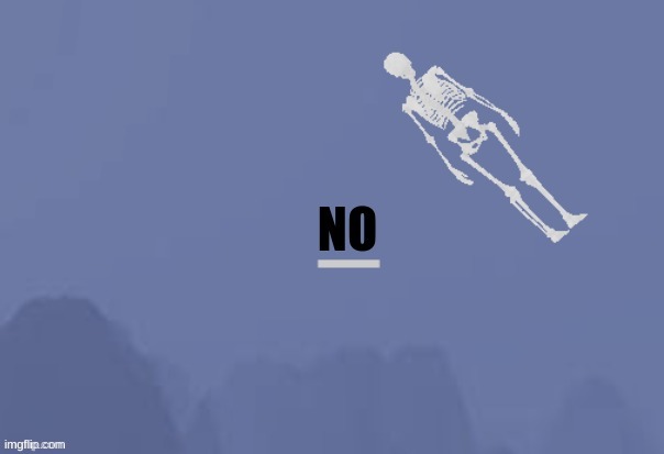 No Skeleton | image tagged in no skeleton | made w/ Imgflip meme maker