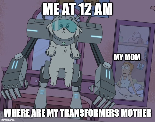 where are my transformers, mother? | ME AT 12 AM; MY MOM; WHERE ARE MY TRANSFORMERS MOTHER | image tagged in where are my testicles summer | made w/ Imgflip meme maker