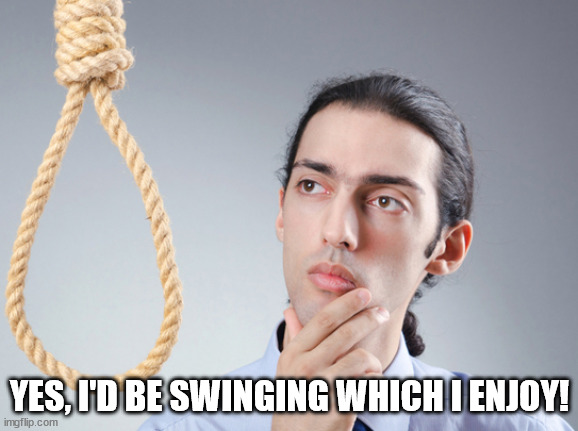 noose | YES, I'D BE SWINGING WHICH I ENJOY! | image tagged in noose | made w/ Imgflip meme maker