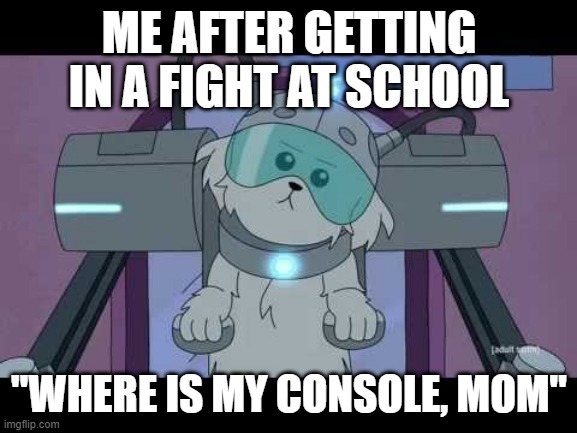 Where are my testicles, Summer? | ME AFTER GETTING IN A FIGHT AT SCHOOL; "WHERE IS MY CONSOLE, MOM" | image tagged in where are my testicles summer | made w/ Imgflip meme maker