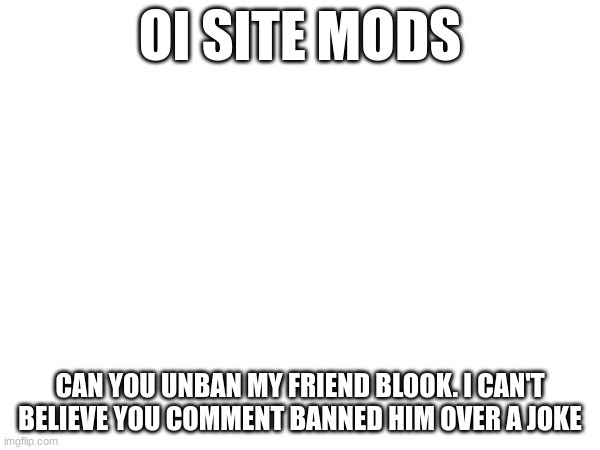 Message to site mods | OI SITE MODS; CAN YOU UNBAN MY FRIEND BLOOK. I CAN'T BELIEVE YOU COMMENT BANNED HIM OVER A JOKE | made w/ Imgflip meme maker