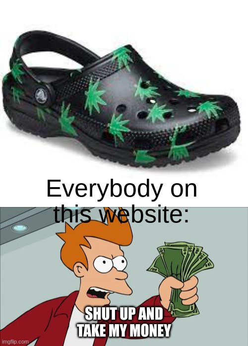 I do not do weed or support it, I just thought this was funny | Everybody on this website:; SHUT UP AND TAKE MY MONEY | image tagged in memes,shut up and take my money fry | made w/ Imgflip meme maker