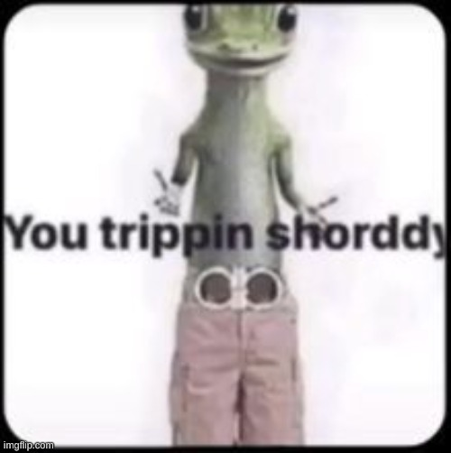 High Quality you trippin shorddy Blank Meme Template