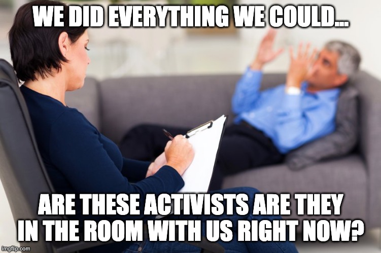 These X Are they in the room with us right now? | WE DID EVERYTHING WE COULD... ARE THESE ACTIVISTS ARE THEY IN THE ROOM WITH US RIGHT NOW? | image tagged in these x are they in the room with us right now | made w/ Imgflip meme maker