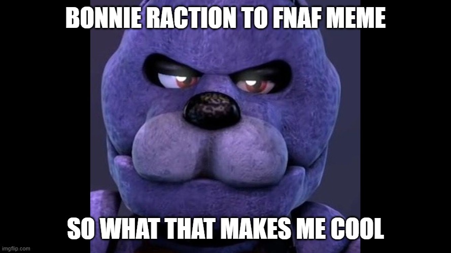 BONNIE EYEBROW MEME 2 | BONNIE RACTION TO FNAF MEME; SO WHAT THAT MAKES ME COOL | image tagged in fnaf funny | made w/ Imgflip meme maker