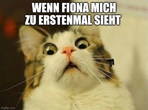 Scared Cat Meme | WENN FIONA MICH ZU ERSTENMAL SIEHT | image tagged in memes,scared cat | made w/ Imgflip meme maker