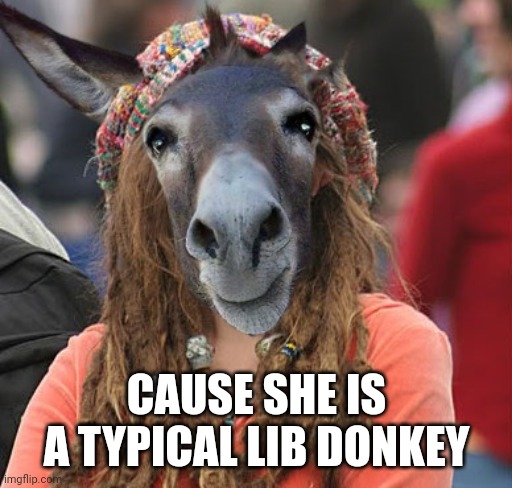 CAUSE SHE IS A TYPICAL LIB DONKEY | made w/ Imgflip meme maker