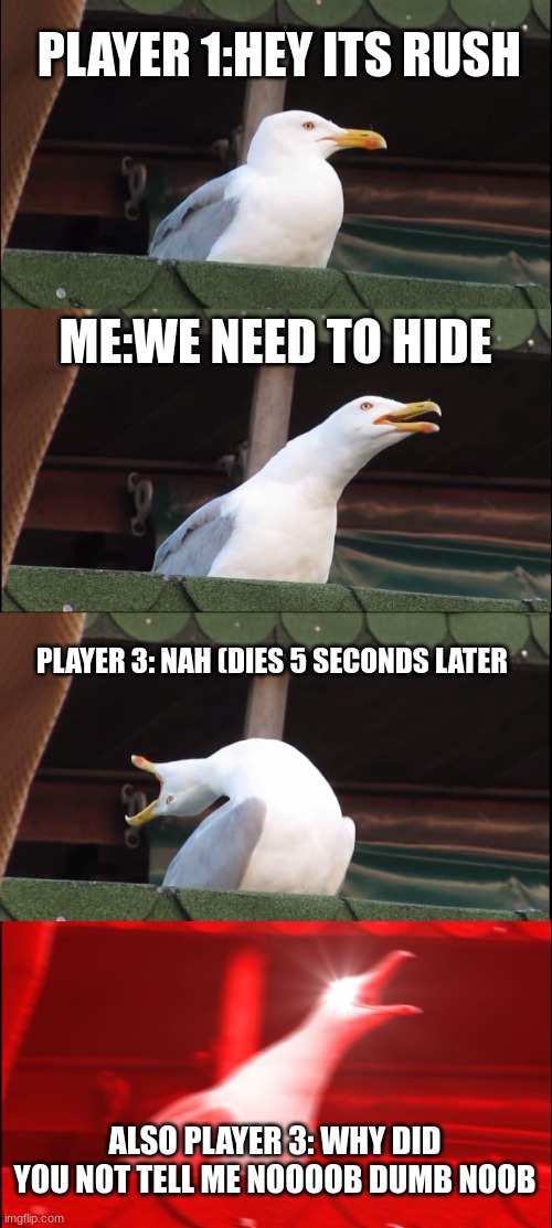 Inhaling Seagull | PLAYER 1:HEY ITS RUSH; ME:WE NEED TO HIDE; PLAYER 3: NAH (DIES 5 SECONDS LATER; ALSO PLAYER 3: WHY DID YOU NOT TELL ME NOOOOB DUMB NOOB | image tagged in memes,inhaling seagull | made w/ Imgflip meme maker