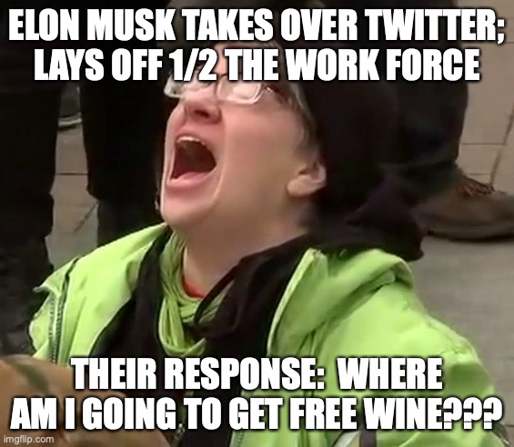Elon Musk Makes Twitter Profitable | ELON MUSK TAKES OVER TWITTER; LAYS OFF 1/2 THE WORK FORCE; THEIR RESPONSE:  WHERE AM I GOING TO GET FREE WINE??? | image tagged in elon musk,twitter,snowflakes | made w/ Imgflip meme maker