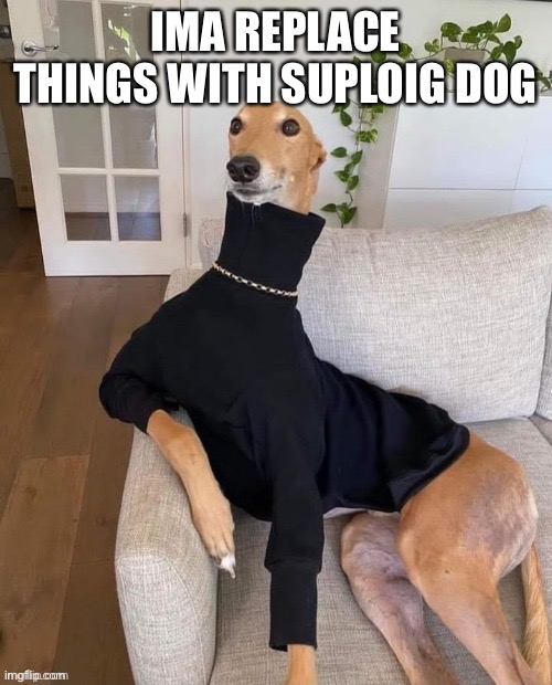 IMA REPLACE THINGS WITH SUPLOIG DOG | made w/ Imgflip meme maker
