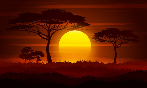Sunset in Africa Blank Meme Template