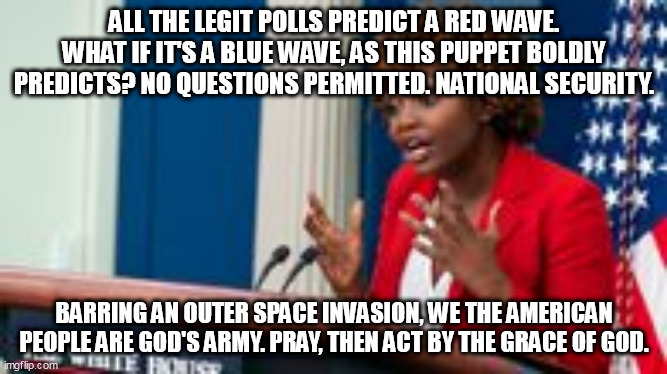 Do you believe in the Grace of God? | ALL THE LEGIT POLLS PREDICT A RED WAVE. WHAT IF IT'S A BLUE WAVE, AS THIS PUPPET BOLDLY PREDICTS? NO QUESTIONS PERMITTED. NATIONAL SECURITY. BARRING AN OUTER SPACE INVASION, WE THE AMERICAN PEOPLE ARE GOD'S ARMY. PRAY, THEN ACT BY THE GRACE OF GOD. | made w/ Imgflip meme maker