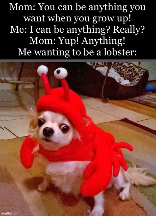image tagged in lobster | made w/ Imgflip meme maker