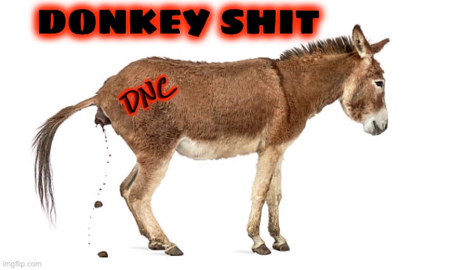 DONKEY SHIT DNC | made w/ Imgflip meme maker