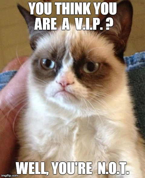 Grumpy Cat | YOU THINK YOU ARE  A  V.I.P. ? WELL, YOU'RE  N.O.T. | image tagged in memes,grumpy cat | made w/ Imgflip meme maker