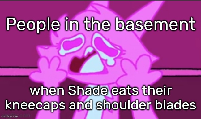 Sad Fuzzy Man | People in the basement; when Shade eats their kneecaps and shoulder blades | image tagged in sad fuzzy man,idk,stuff,s o u p,carck | made w/ Imgflip meme maker