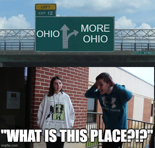Directionless Agents | OHIO; MORE
OHIO; "WHAT IS THIS PLACE?!?" | image tagged in the office files,agent 22,agent 5,robbie slodysko,audrey beilharz,left exit 12 off ramp | made w/ Imgflip meme maker