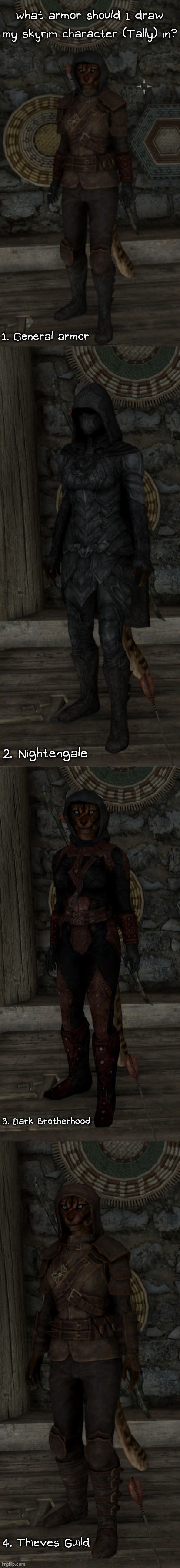 What outfit should I draw my skyrim character (Tally, khajiit, stealth archer, thief/assain) in? | what armor should I draw my skyrim character (Tally) in? 1. General armor; 2. Nightengale; 3. Dark Brotherhood; 4. Thieves Guild | image tagged in furry,gaming,skyrim,art,drawings,vote | made w/ Imgflip meme maker