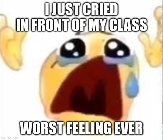 ong | I JUST CRIED IN FRONT OF MY CLASS; WORST FEELING EVER | image tagged in crying emoji | made w/ Imgflip meme maker
