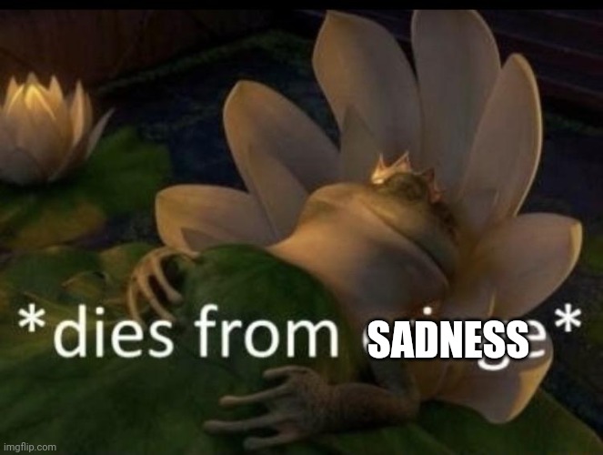 Dies from cringe | SADNESS | image tagged in dies from cringe | made w/ Imgflip meme maker