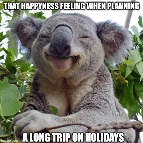 Smiling Koala | THAT HAPPYNESS FEELING WHEN PLANNING; A LONG TRIP ON HOLIDAYS | image tagged in smiling koala | made w/ Imgflip meme maker