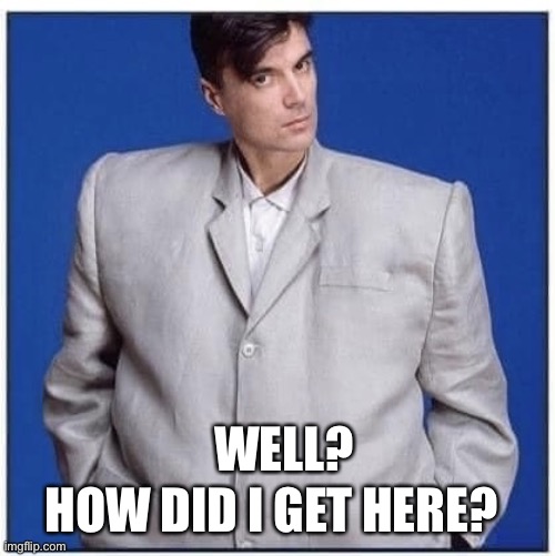 Byrne big suit | HOW DID I GET HERE? WELL? | image tagged in byrne big suit,talking heads | made w/ Imgflip meme maker