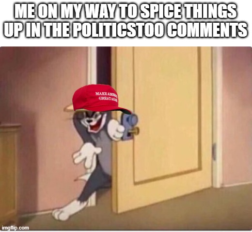 This'll be fun lol | ME ON MY WAY TO SPICE THINGS UP IN THE POLITICSTOO COMMENTS | image tagged in tom sneaking in a room | made w/ Imgflip meme maker