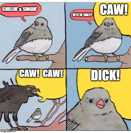Stupid crow! | CAW! CHILLIN' & SINGIN'; WTF IS THAT? CAW!  CAW! DICK! | image tagged in annoyed bird | made w/ Imgflip meme maker
