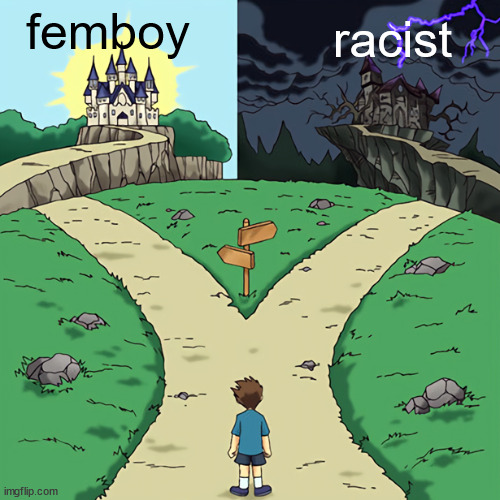 two castles | femboy; racist | image tagged in two castles | made w/ Imgflip meme maker