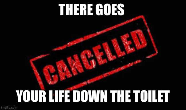 Cancelled | THERE GOES YOUR LIFE DOWN THE TOILET | image tagged in cancelled | made w/ Imgflip meme maker