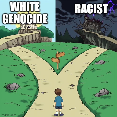 The only option is that there is no option | WHITE GENOCIDE; RACIST | image tagged in two castles | made w/ Imgflip meme maker
