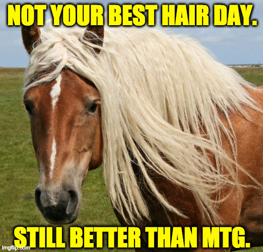 NOT YOUR BEST HAIR DAY. STILL BETTER THAN MTG. | made w/ Imgflip meme maker