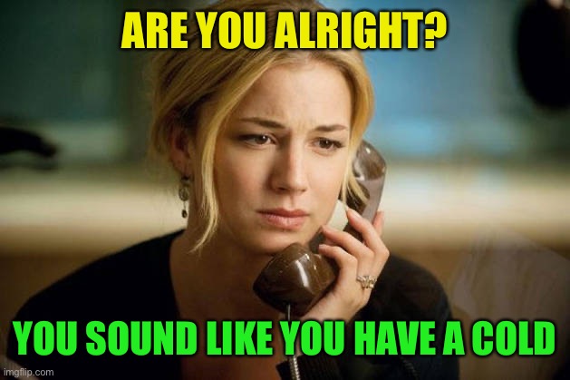 woman on phone | ARE YOU ALRIGHT? YOU SOUND LIKE YOU HAVE A COLD | image tagged in woman on phone | made w/ Imgflip meme maker