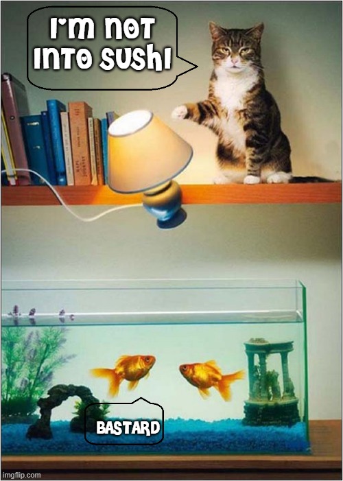 The Mysterious Case of the Goldfish Murderer | I'M NOT
INTO SUSHI; BASTARD | image tagged in vince vance,goldfish,cats,fish tank,evil cat,aquarium | made w/ Imgflip meme maker