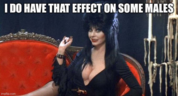 Elvira | I DO HAVE THAT EFFECT ON SOME MALES | image tagged in elvira | made w/ Imgflip meme maker