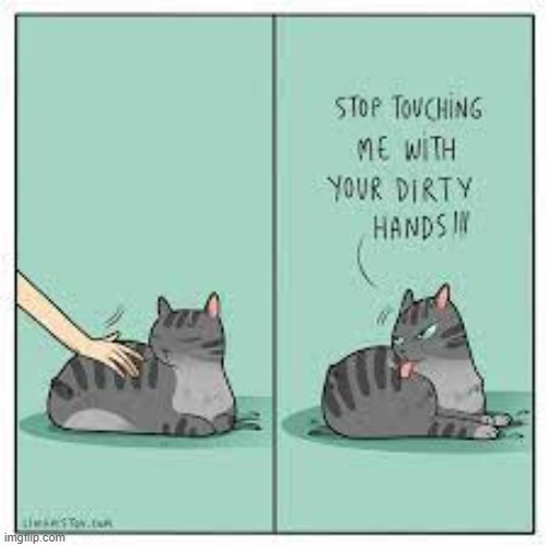 A Cat's Way Of Thinking | image tagged in memes,comics,cats,it's time to stop,dirty,hands | made w/ Imgflip meme maker