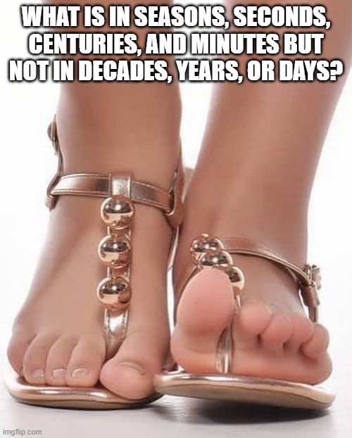 WHAT IS IN SEASONS, SECONDS, CENTURIES, AND MINUTES BUT NOT IN DECADES, YEARS, OR DAYS? | image tagged in riddle,feet | made w/ Imgflip meme maker