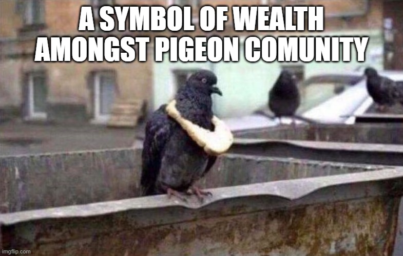 a symbol of wealth amongst peigon community | A SYMBOL OF WEALTH AMONGST PIGEON COMUNITY | image tagged in memes | made w/ Imgflip meme maker