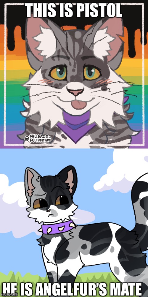 Oc:Pistol | THIS IS PISTOL; HE IS ANGELFUR’S MATE | image tagged in warrior cat oc,pistol | made w/ Imgflip meme maker