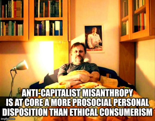 sulky zizek | ANTI-CAPITALIST MISANTHROPY IS AT CORE A MORE PROSOCIAL PERSONAL DISPOSITION THAN ETHICAL CONSUMERISM | image tagged in zizek | made w/ Imgflip meme maker