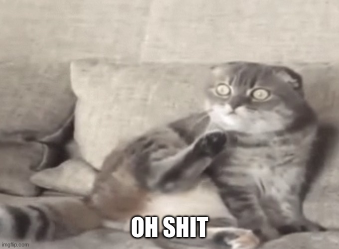 Worried Cat | OH SHIT | image tagged in worried cat | made w/ Imgflip meme maker