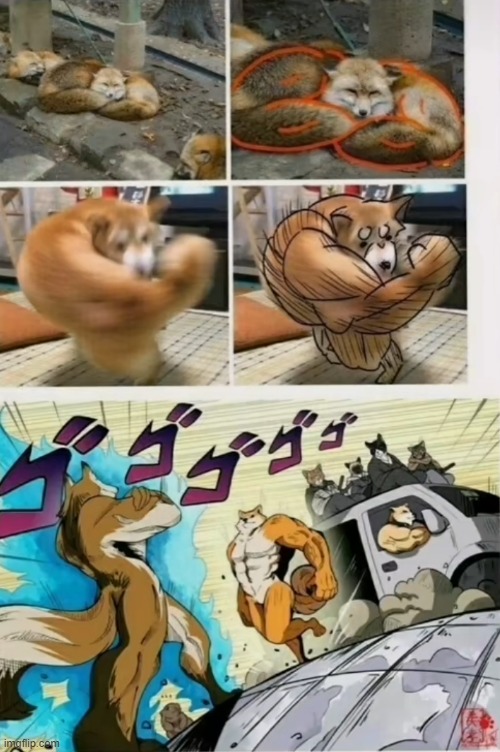 image tagged in dogs | made w/ Imgflip meme maker