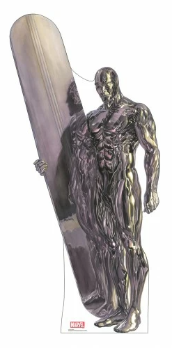 Silver surfer Blank Meme Template
