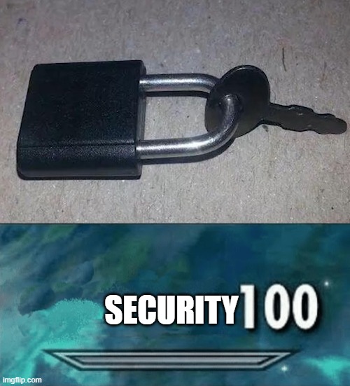 security 100 | SECURITY | image tagged in skyrim skill meme | made w/ Imgflip meme maker