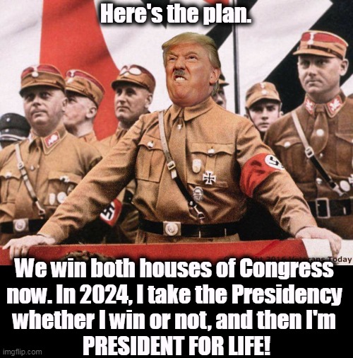 Yup, that's the plan. | Here's the plan. We win both houses of Congress 
now. In 2024, I take the Presidency 
whether I win or not, and then I'm 
PRESIDENT FOR LIFE! | image tagged in trump,dictator,steal,presidency | made w/ Imgflip meme maker