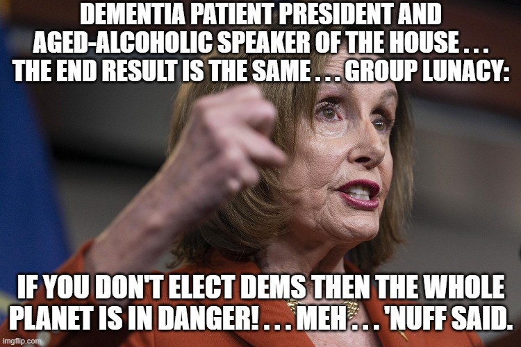 Yep she said the whole planet is endangered if Dems are not voted back into office.  Sheesh! | DEMENTIA PATIENT PRESIDENT AND AGED-ALCOHOLIC SPEAKER OF THE HOUSE . . . THE END RESULT IS THE SAME . . . GROUP LUNACY:; IF YOU DON'T ELECT DEMS THEN THE WHOLE PLANET IS IN DANGER! . . . MEH . . . 'NUFF SAID. | image tagged in whacko | made w/ Imgflip meme maker