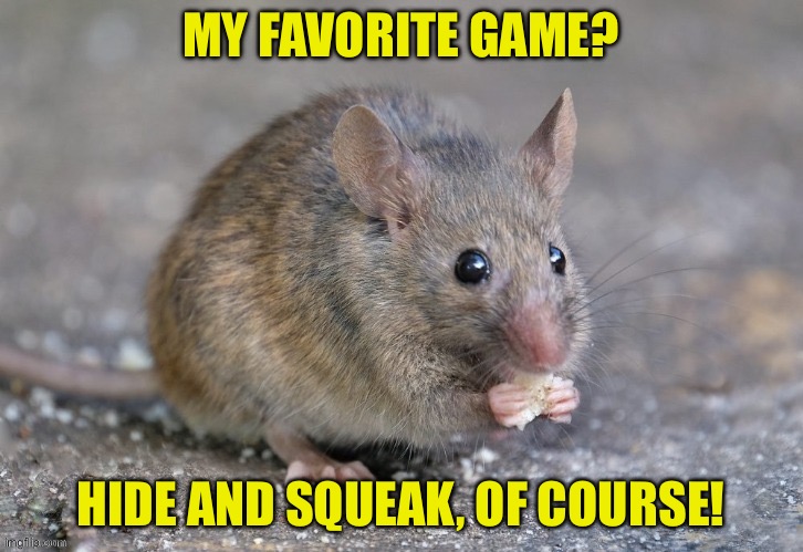 Mouse | MY FAVORITE GAME? HIDE AND SQUEAK, OF COURSE! | image tagged in mouse eating food | made w/ Imgflip meme maker