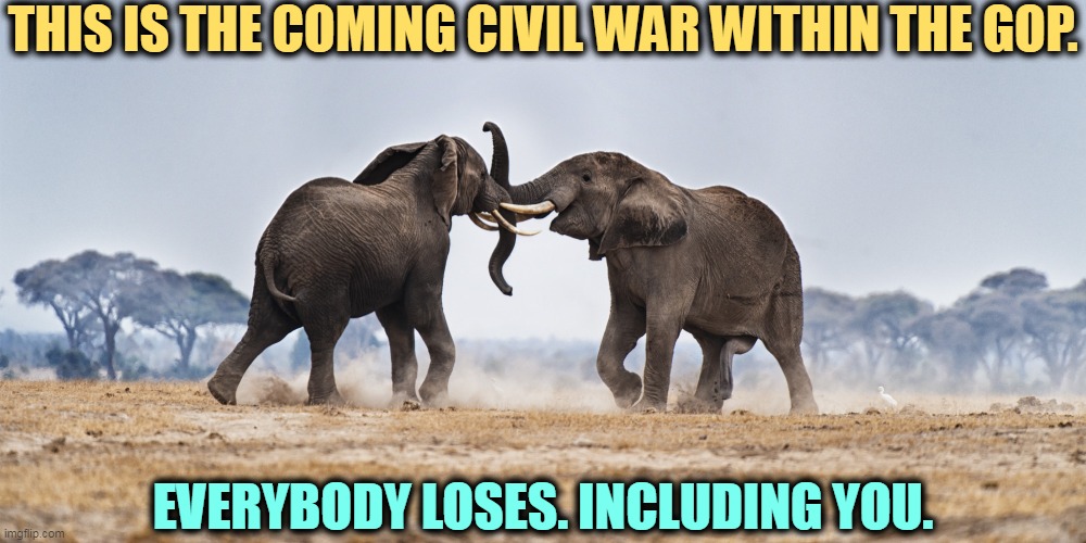 The Big Red Wave turned into the Little Red Splish-Splash. | THIS IS THE COMING CIVIL WAR WITHIN THE GOP. EVERYBODY LOSES. INCLUDING YOU. | image tagged in the civil war within the republican party - everybody loses,republican party,maga,thugs | made w/ Imgflip meme maker