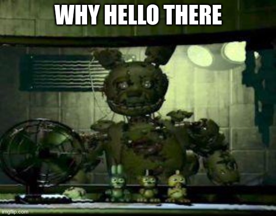 WHY HELLO THERE | image tagged in fnaf springtrap in window | made w/ Imgflip meme maker