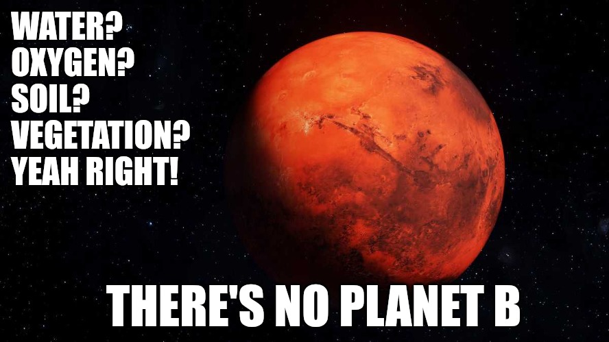 No planet B | WATER?
OXYGEN?
SOIL?
VEGETATION?

YEAH RIGHT! THERE'S NO PLANET B | image tagged in climate change,climate,environment,memes | made w/ Imgflip meme maker